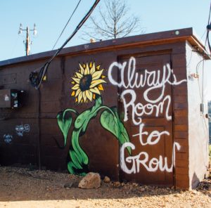 shed with always room to grow